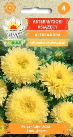 aster-ksiazecy-aleksandra-nasiona-1g-toraf