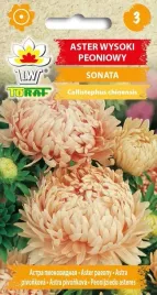 aster-peoniowy-sonata-nasiona-1g-toraf