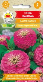 cynia-daliowa-illumination-nasiona-1g-toraf