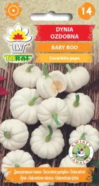 dynia-ozdobna-baby-boo-nasiona-kwiatow-2g-toraf