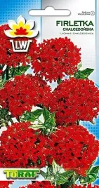 firletka-chalcedonska-nasiona-kwiatow-05g-toraf