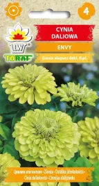 cynia-daliowa-envy-nasiona-kwiatow-1g-toraf