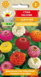 cynia-karlowa-liliput-nasiona-kwiatow-05g-toraf