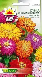 cynia-chryzantemowa-mix-nasiona-kwiatow-1g-toraf