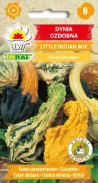dynia-little-indian-nasiona-kwiatow-2g-toraf