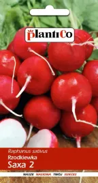 rzodkiewka-saxa-nasiona-10g-plantico-368
