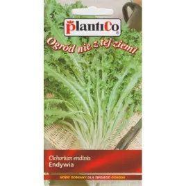 kalafior-romanesca-nasiona-02-g-plantico-365