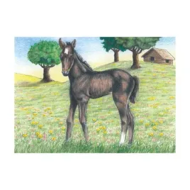 klocki-budowlane-dla-chlopca-zestaw-ukladanka-do-budowania-wiejskie-puzzle
