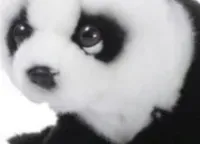 zabawka-maskotka-pluszowa-dla-dziecka-mis-panda-pluszaki-zabawkowe-sliczne