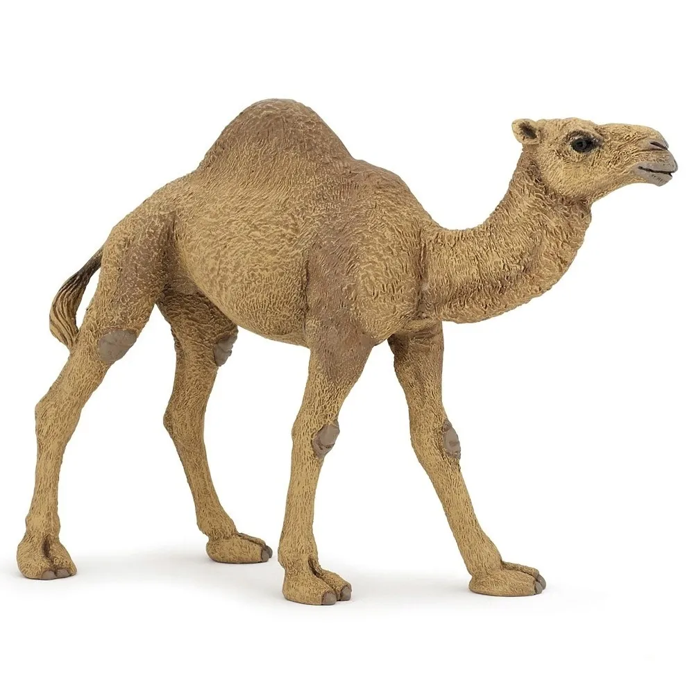 dromader-dromedary-papo-50151