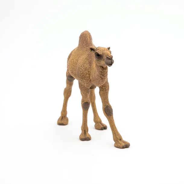 dromader-dromedary-papo-50151-plec-chlopcy