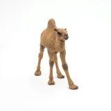 dromader-dromedary-papo-50151-plec-chlopcy
