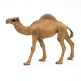 dromader-dromedary-papo-50151-certyfikaty-opinie-atesty-ce