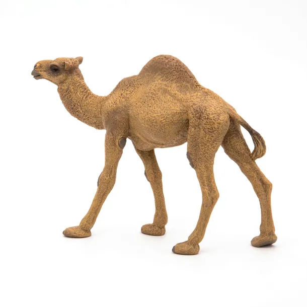 dromader-dromedary-papo-50151-skala-1-20
