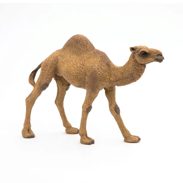 dromader-dromedary-papo-50151-typ-figurka
