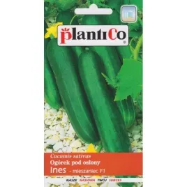 ogorek-nasiona-1-g-358