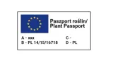 ogorek-nasiona-1-g-358-cechy-charakterystyczne-proste-w-pielegnacji