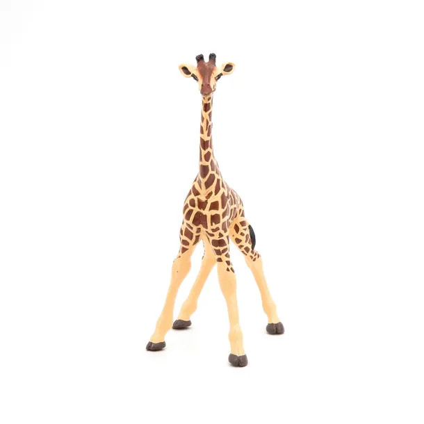 zyrafa-mlode-giraffe-calf-papo-50100-plec-chlopcy