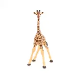 zyrafa-mlode-giraffe-calf-papo-50100-plec-chlopcy