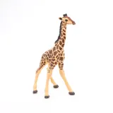 zyrafa-mlode-giraffe-calf-papo-50100-marka-papo