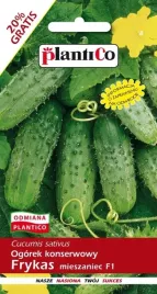 ogorek-gruntowy-konserwowy-frykas-f1-nasiona-6-g-plantico-351