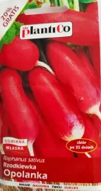 rzodkwie-i-rzodkiewki-nasiona-10-g-352