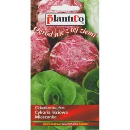 cykoria-lisciowa-mieszanka-odmian-nasiona-02-g-plantico-355