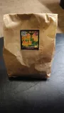 dalia-dekoracyjna-maxime-1-klasa-rodzaj-rosliny-dalia-producent-inna