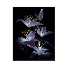diamond-painting-haft-diamentowy-lilie-25x35cm-1583-mozaika