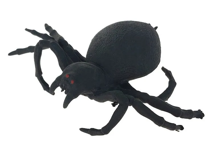 pajak-tarantula-gniotek-23p
