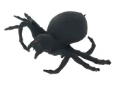 pajak-tarantula-gniotek-23p
