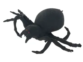 pajak-tarantula-gniotek-23p