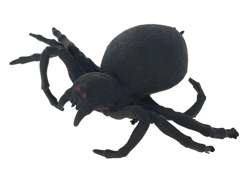 pajak-tarantula-gniotek-23p