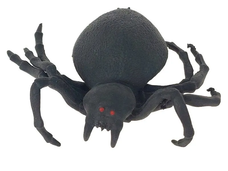 pajak-tarantula-gniotek-23p