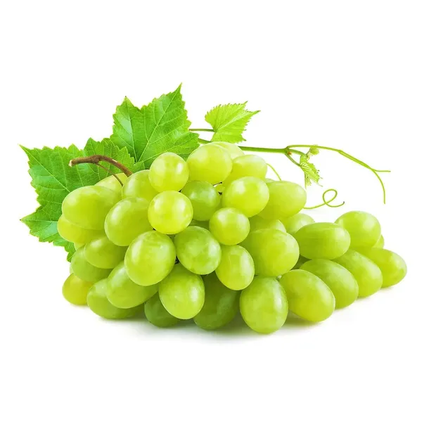 syrop-do-sodastream-fruttamax-winogrono-kod-producenta-98571