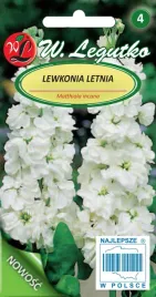 lewkonia-letnia-excelsior-biala-zapylacze-nasiona-05-g-legutko
