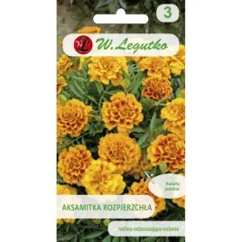 aksamitka-rozpierzchla-queen-sophia-nasiona-15-g
