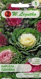 kapusta-ozdobna-nasiona-05-g-legutko