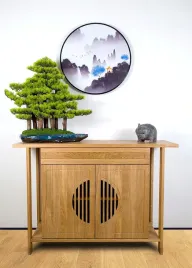 pokojowe-dekoracyjne-bonsai-las-sosnowy-pn-74