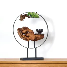 pokojowe-bonsai-na-podstawce-pn-59