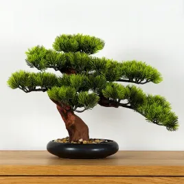 dekoracyjne-bonsai-pokojowe-sosna-pn-7