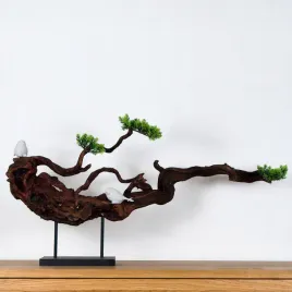 pokojowe-bonsai-na-podstawce-pn-58