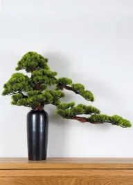 dekoracyjne-bonsai-pokojowe-sosna-pn-23