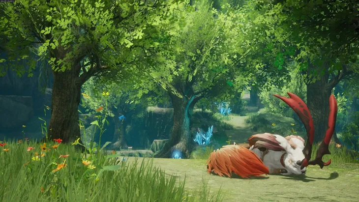 harvestella-nintendo-switch-rodzaj-wydania-podstawa