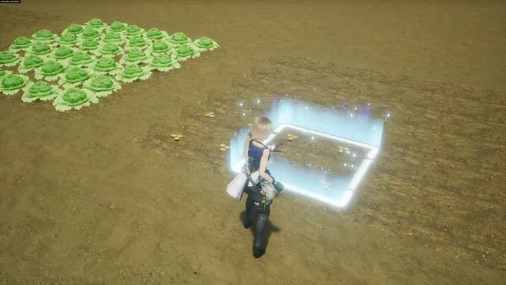 harvestella-nintendo-switch-waga-z-opakowaniem-0-1-kg