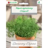 nasiona-koper-ogrodowy-compact-5g-cykl-rozwojowy-rosliny-jednoroczna