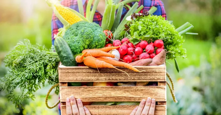 nasiona-koper-ogrodowy-compact-5g-nazwa-lacinska-anethum