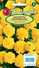 nasiona-aksamitka-rozpierzchla-zolta-1g