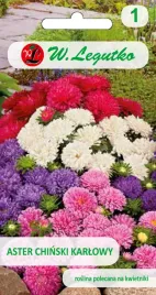 nasiona-aster-chinski-karlowy-mieszanka-125g