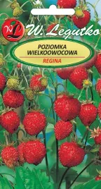 nasiona-poziomka-regina-owoce-czerwone-duze-01g